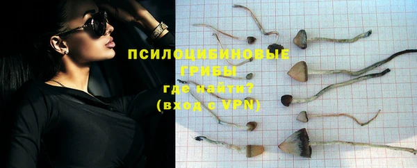 spice Бронницы