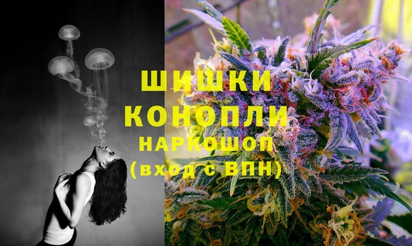 spice Бронницы