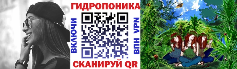 Канабис White Widow Калининград